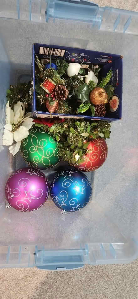 Photo of free Christmas decor (Union, KY) #1