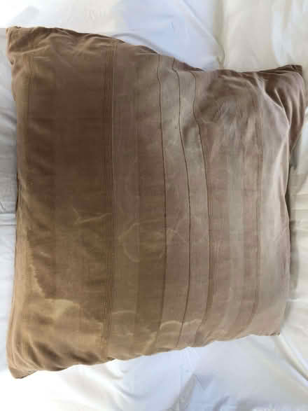 Photo of free Huge Cushion (Harrogate HG2) #1