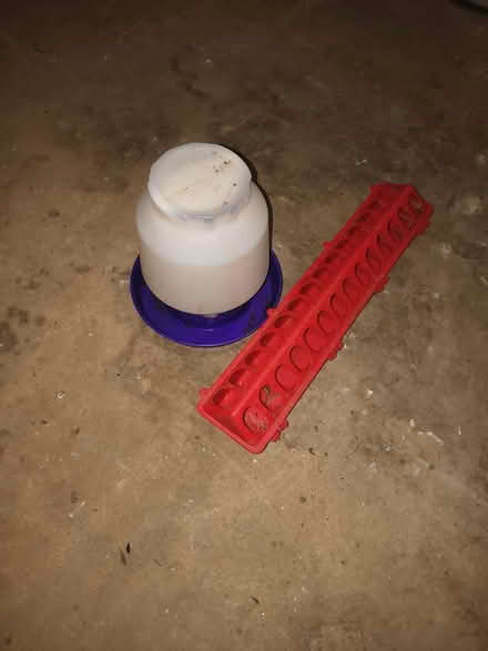 Photo of free Chick feeder and waterer (Ducktown) #1