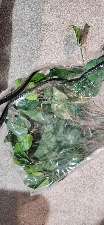 Photo of free Crafts Items (Union, KY) #1