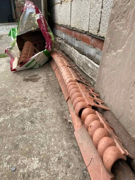 Photo of free Lawn/ bed edging (Holgate YO24) #1