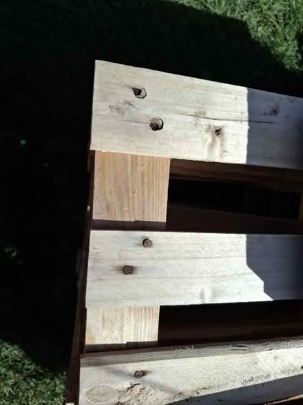 Photo of free 6 Pallets (South Norwood, SE25) #2