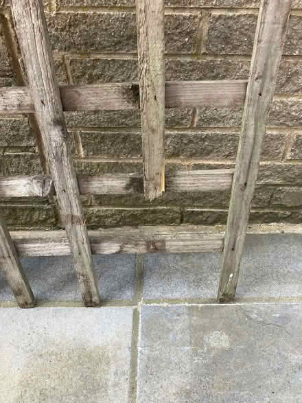 Photo of free Trellis (Bd16) #2