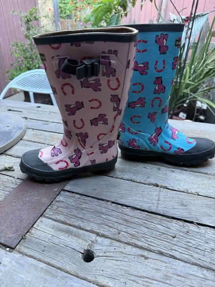 Photo of free Single horse themed rubber boots (Campbell) #1