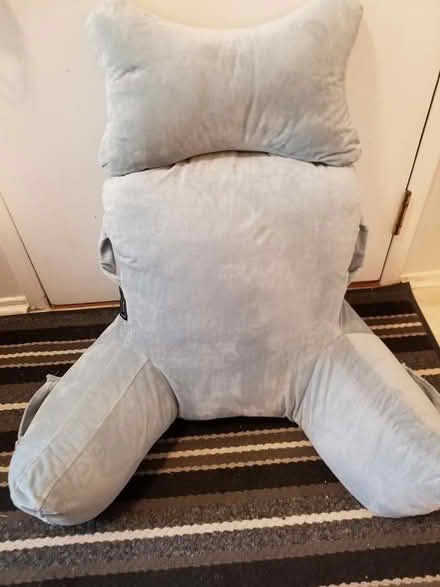 Photo of free Reading pillow (Hunt Club) #1