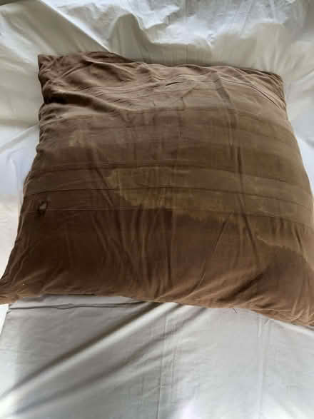 Photo of free Huge Cushion (Harrogate HG2) #2