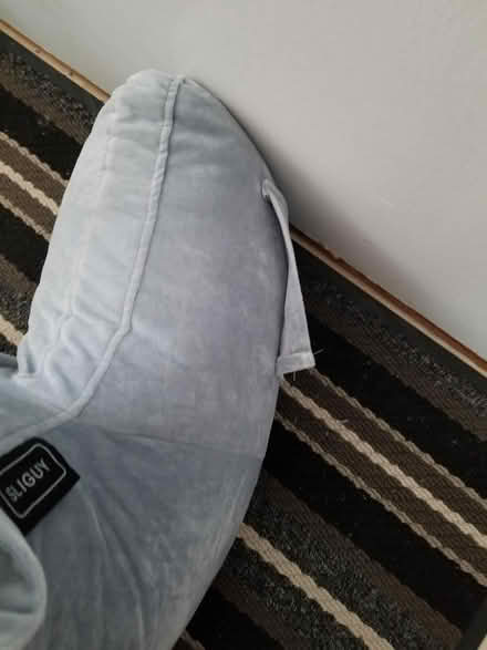 Photo of free Reading pillow (Hunt Club) #4