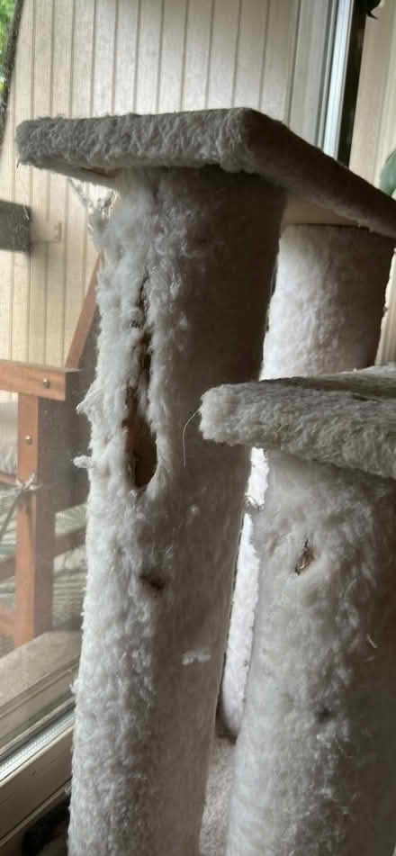 Photo of free Cat Stairs and Bed (Aspen Hill) #3
