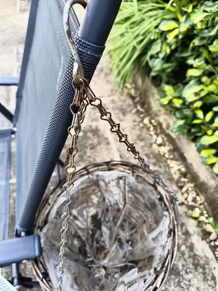 Photo of free Hanging baskets (Marple SK6) #2
