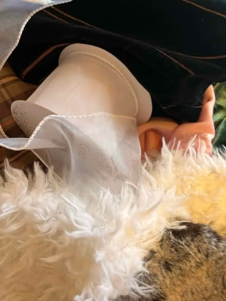 Photo of free Fabric and ribbon (Winter Hill) #3