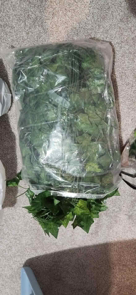 Photo of free Crafts Items (Union, KY) #3