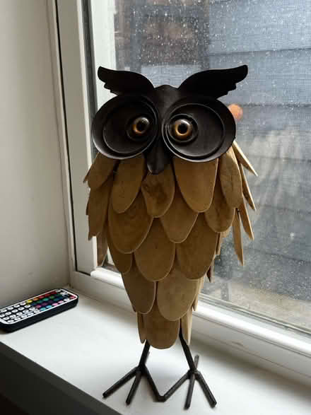 Photo of free For owl collectors (Park view\Petworth) #1