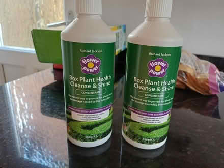 Photo of free Box Plant Health Cleans and Shine (Eastleigh SO50) #1