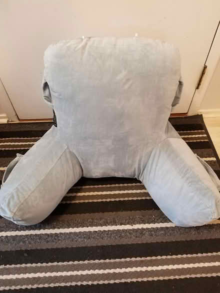Photo of free Reading pillow (Hunt Club) #2