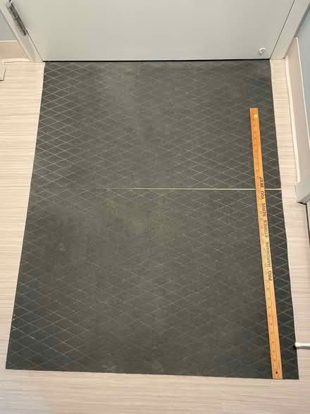 Photo of free Two Indoor Door Mats (Dow’s Lake area) #2