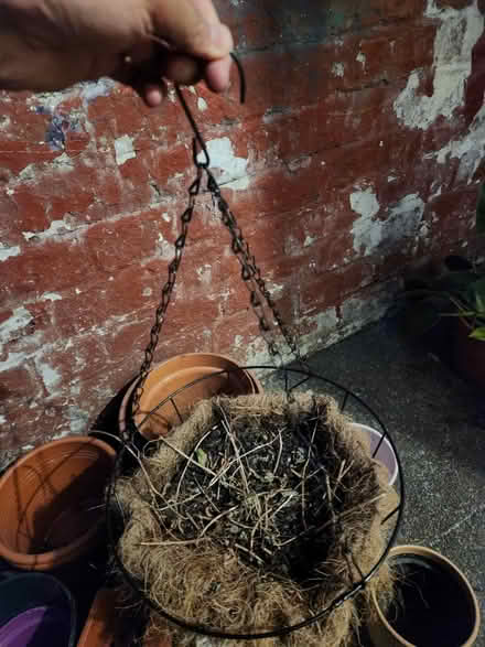 Photo of free Hanging basket and pots (M6 6ED) #2