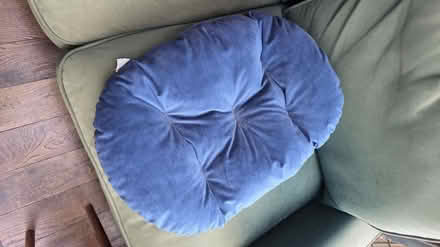 Photo of free Cat cushion (Twickenham) #2