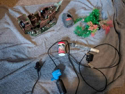 Photo of free Fish tank accessories (yapton) #1
