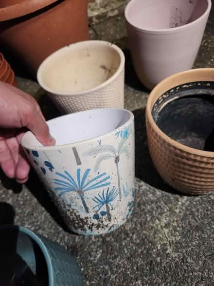 Photo of free Hanging basket and pots (M6 6ED) #4