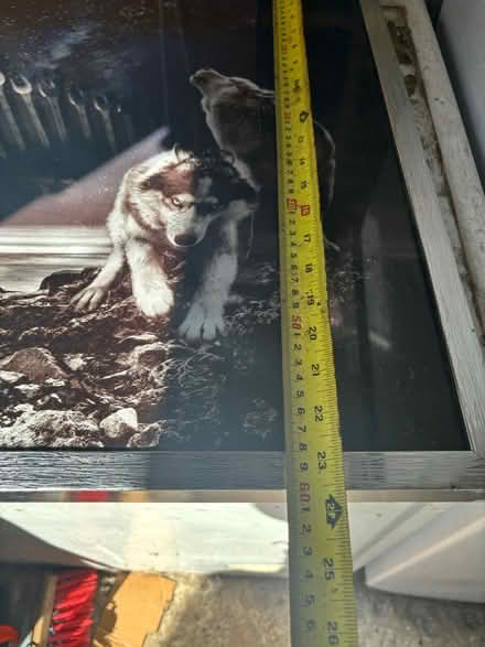 Photo of free X2 framed pictures (Da117ej) #3