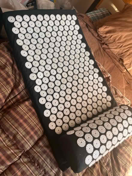 Photo of free Acupressure mat and pillow (Winter Hill) #1