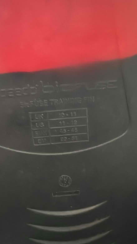 Photo of free Flippers / Training Fins (Artane) #2