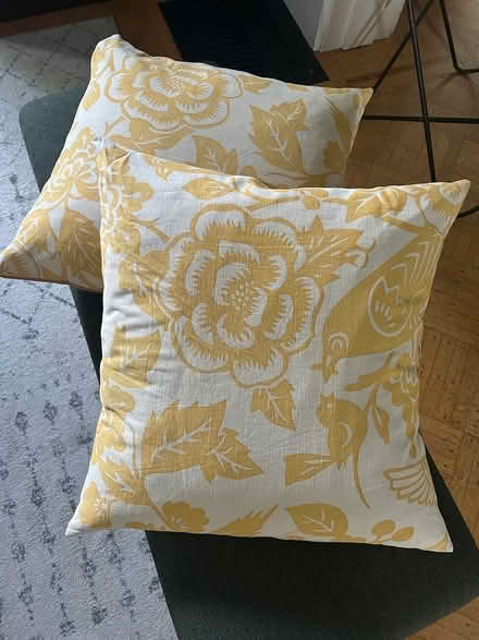 Photo of free Two pillows (Lexington Center) #1