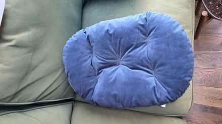 Photo of free Cat cushion (Twickenham) #1