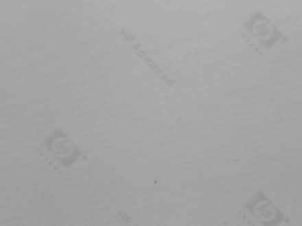 Photo of free White 4x6 color print paper (North Oakland) #1