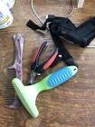 Photo of free URINARY S/O Dog food + assorted dog jackets + grooming - TURNER #1