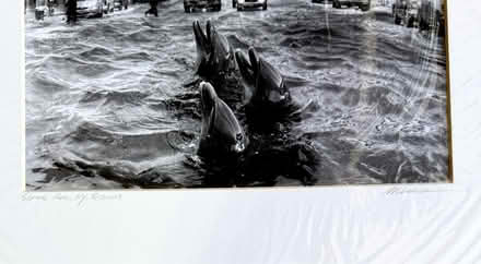 Photo of free Signed poster print of NYC (Mill Valley) #2