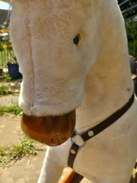 Photo of free Rocking Horse - H 33" x W 46" (Lexden CO3) #3