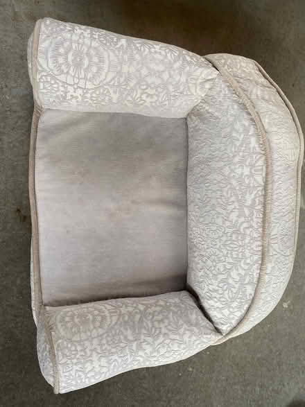 Photo of free Doggy couch (Springfield, MA) #1