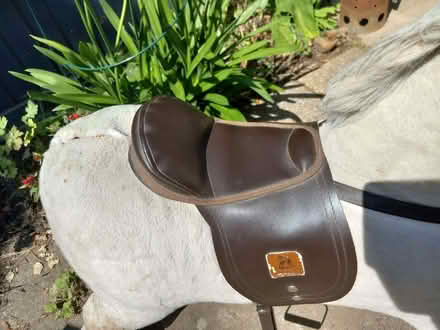 Photo of free Rocking Horse - H 33" x W 46" (Lexden CO3) #2