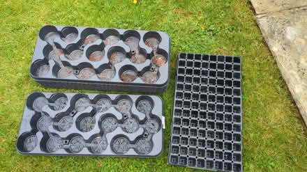 Photo of free Plant pot trays (WA14 Altrincham) #1