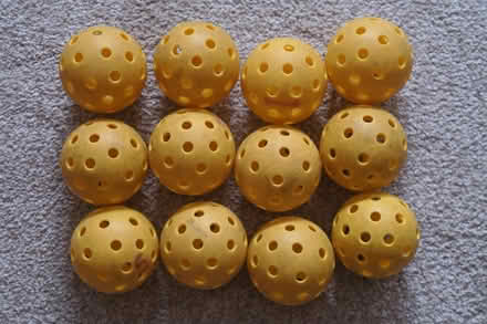 Photo of free Pickleballs outdoor (Prospect Hts) #1