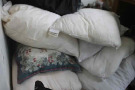 Photo of free Cushions (dorchester DT1) #1