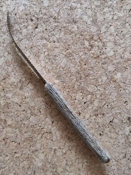 Photo of free Grapefruit knife, small, curved, serated (Henleaze Ward BS9) #1