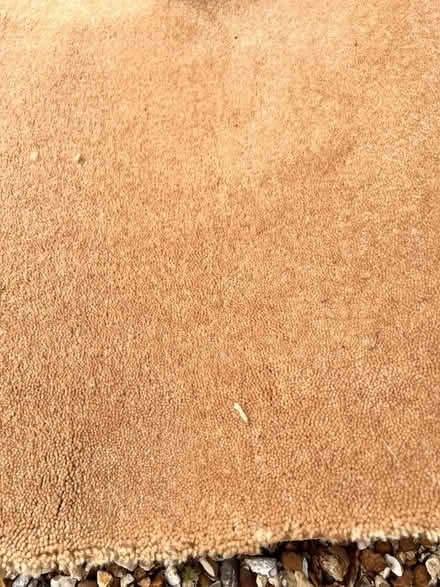 Photo of free Carpet off-cut (Aldwick) #1