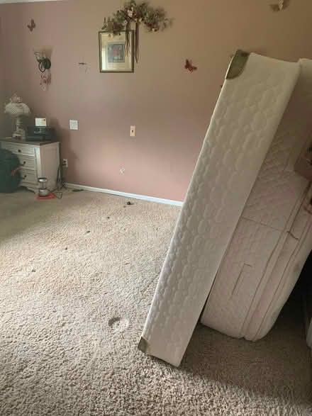 Photo of free Queen Mattress (Kingwood by Tavern 519) #1