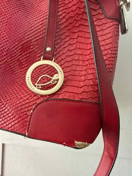 Photo of free Carpisa (no longer) Luxury bag (Newbury Park IG2) #2