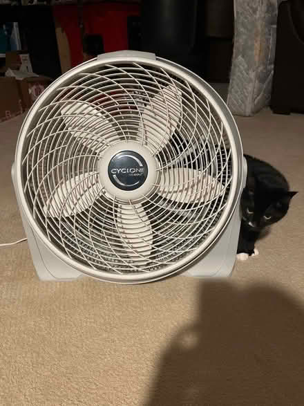 Photo of free Fan (Downers Grove) #1