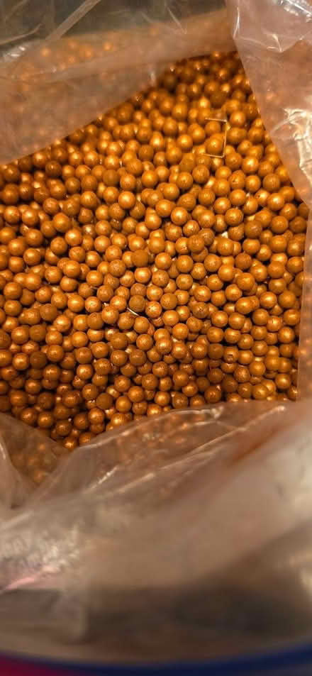 Photo of free Bb Pellets (13 1/2 and Farmington) #1