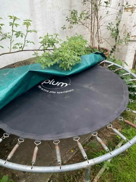 Photo of free 6ft trampoline (Boughton Street ME13) #2