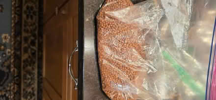 Photo of free Bb Pellets (13 1/2 and Farmington) #2