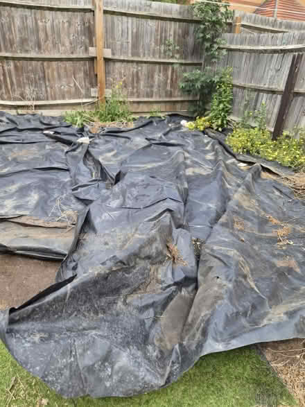 Photo of free Plastic garden (RM7) #2