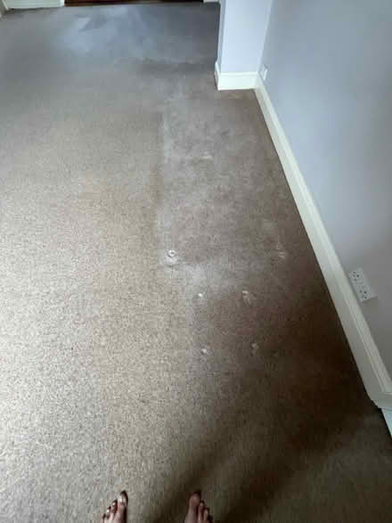 Photo of free Hessian backed carpet (Cheltenham GL51) #3