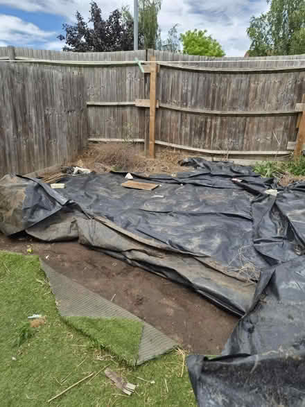 Photo of free Plastic garden (RM7) #1
