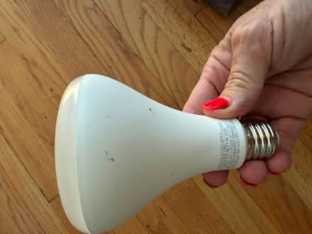 Photo of free 12 canister light bulbs (Roselle, Il) #3
