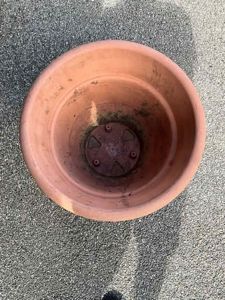 Photo of free Plastic plant pot. (Locks Heath SO31) #2